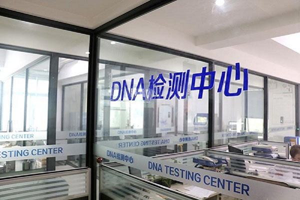 南昌DNA检测收费咨询服务（专注顾问解答您的DNA检测收费问题） 